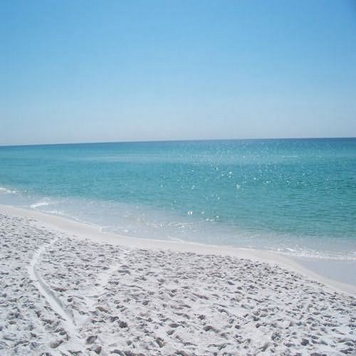 Capri by the Gulf  | Destin | Florida | United States 4