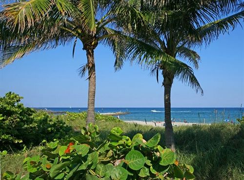 Hotel Ventura At Boca Raton  | Boca Raton | Florida | Estados Unidos 17