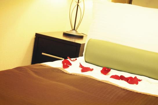 Hotel Howard Johnson Manhattan Soho  | New York | Nueva York | United States 11