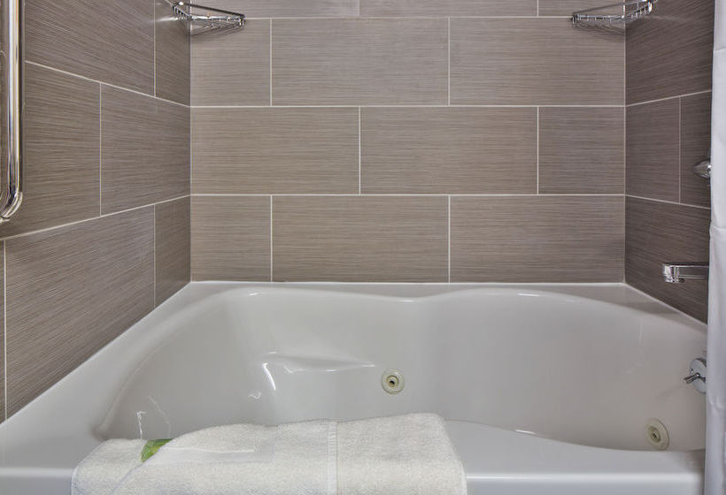 Hotel Holiday Inn Staten Island  | Staten Island | Nueva York | United States 10