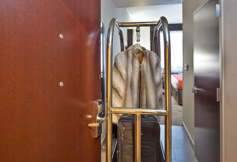 Hotel Holiday Inn Staten Island  | Staten Island | Nueva York | United States 13