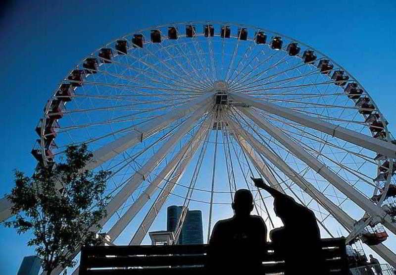 Hotel Residence Inn Chicago Midway Airport  | Chicago | Illinois | United States 2