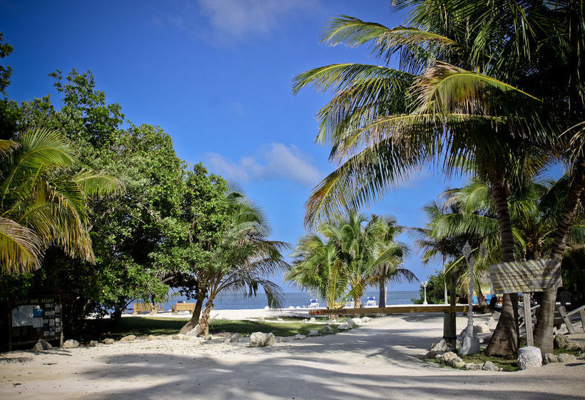 Hotel Coconut Cove Resort And Marina  | Islamorada | Florida | United States 12