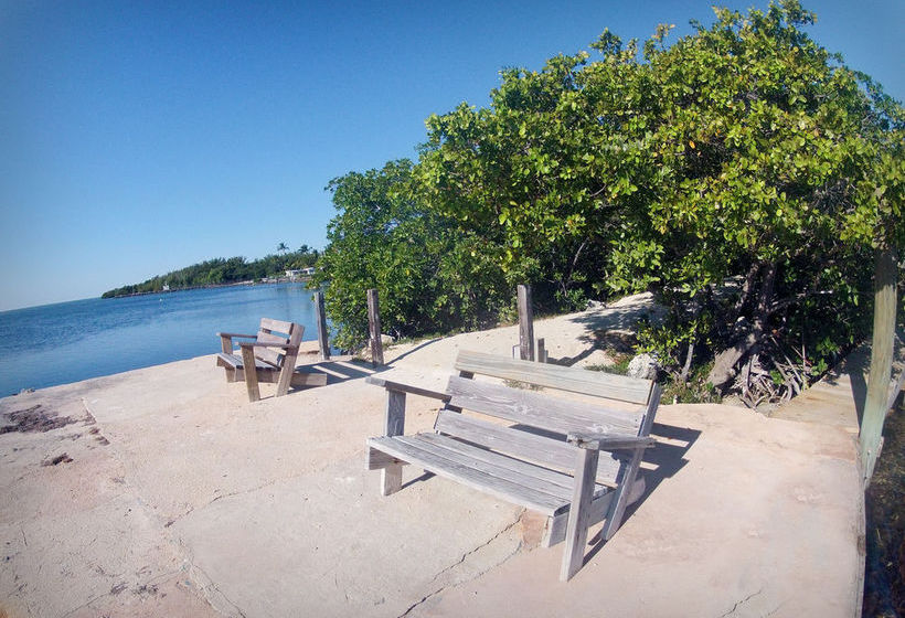 Hotel Coconut Cove Resort And Marina  | Islamorada | Florida | United States 7