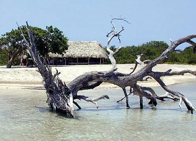 Hotel Complejo Topes De Collantes Topes de Collantes Sancti-Spiritus Province