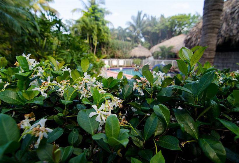 Hotel Crane's Beachhouse  | Delray Beach | Florida | United States 1