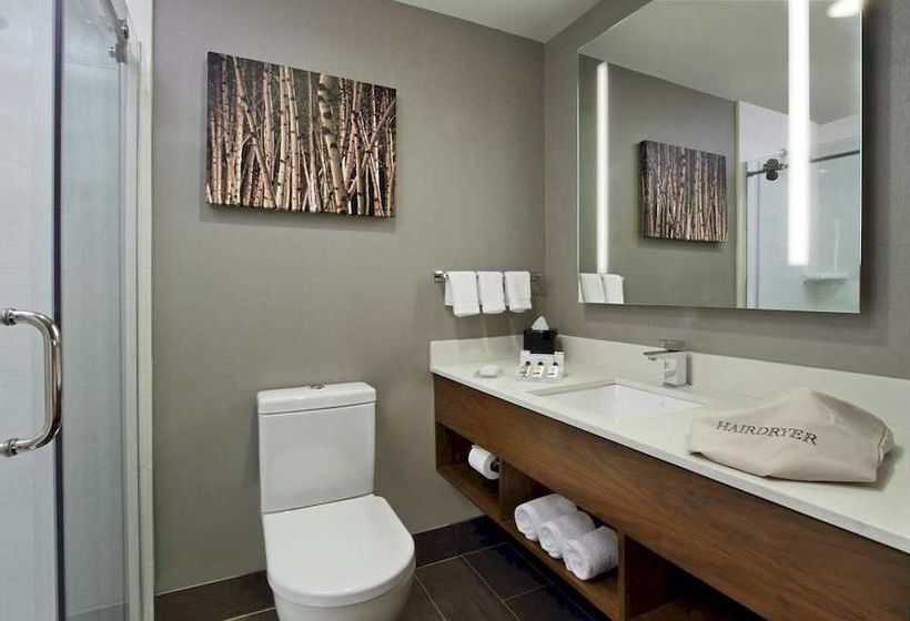 Hotel Hilton Garden Inn New York/midtown Park Ave  | New York | Nueva York | United States 15