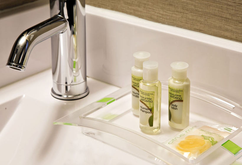 Hotel Holiday Inn Manhattan Financial District  | New York | Nueva York | United States 13