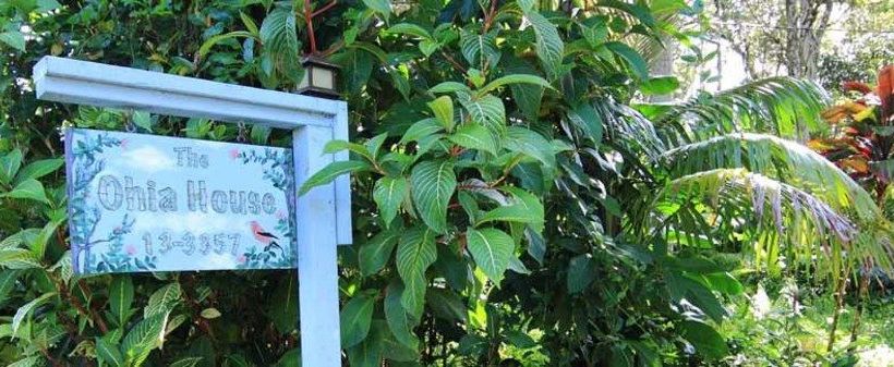 Ohia House Bed And Breakfast  | Pahoa | Hawaii | United States 10