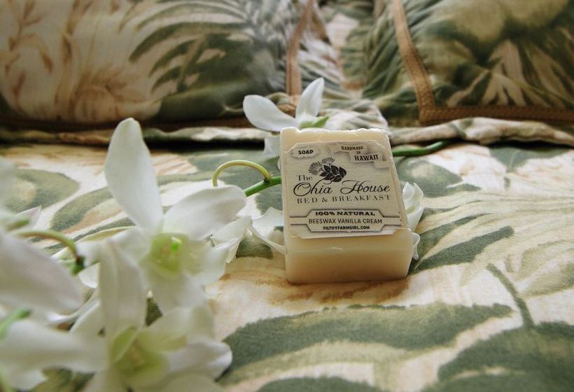 Ohia House Bed And Breakfast  | Pahoa | Hawaii | United States 4