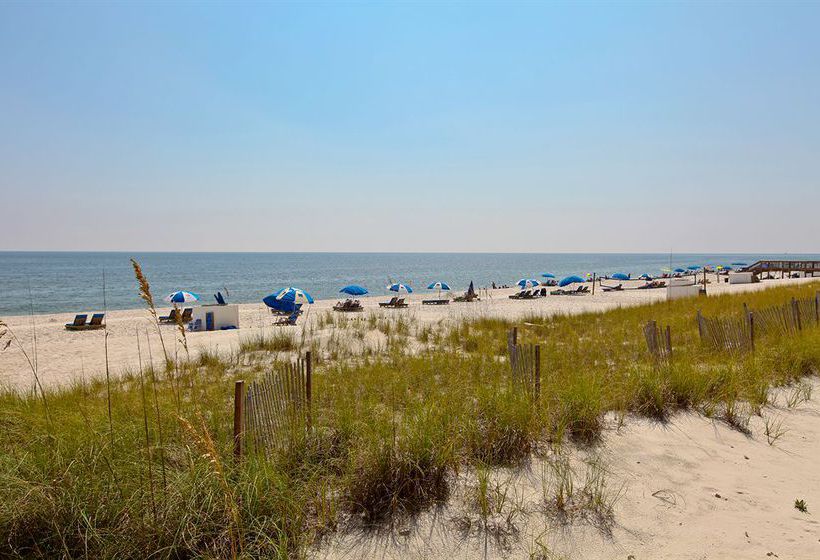 Hotel Indigo By Meyer Real Estate 