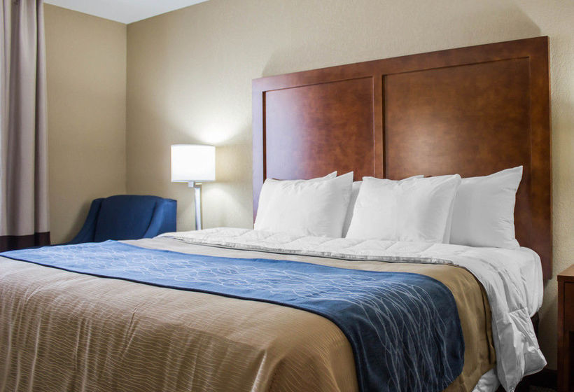 Hotel Comfort Inn  | Jamaica - Long Island | Nueva York | United States 16