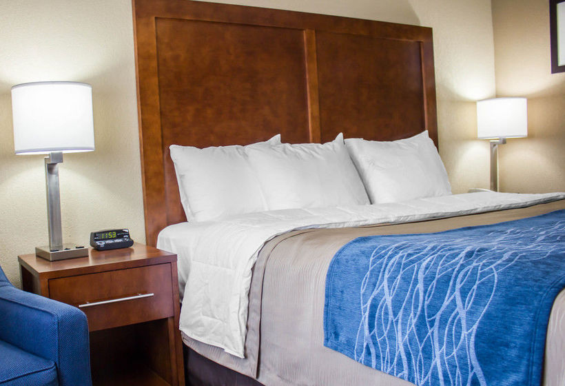 Hotel Comfort Inn  | Jamaica - Long Island | Nueva York | United States 17