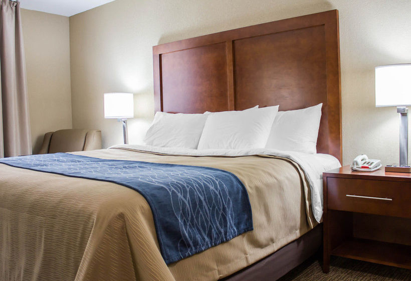 Hotel Comfort Inn  | Jamaica - Long Island | Nueva York | United States 6