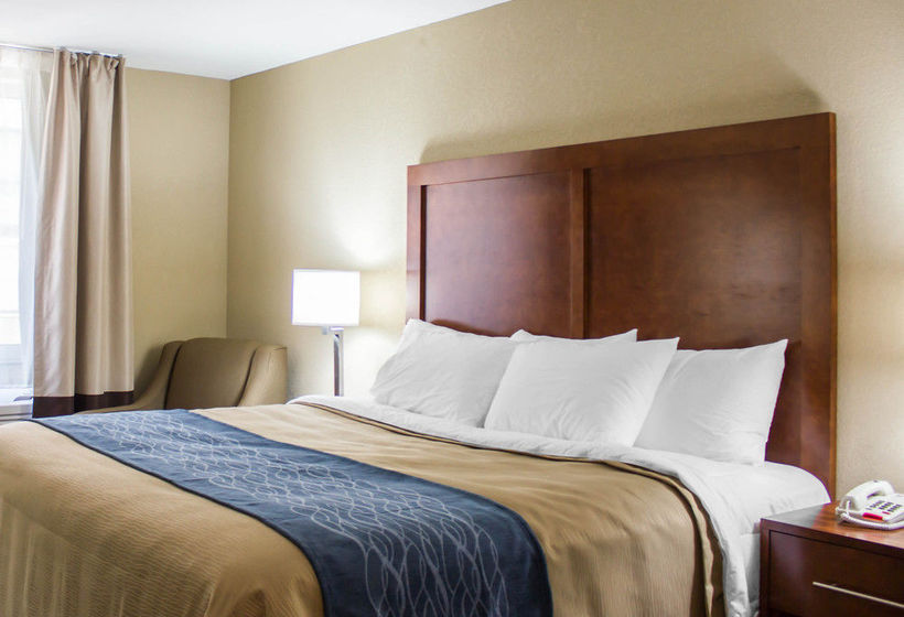 Hotel Comfort Inn  | Jamaica - Long Island | Nueva York | United States 8