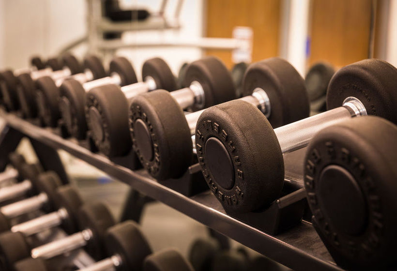 Even Hotel New York Times Square South  | New York | Nueva York | United States 2