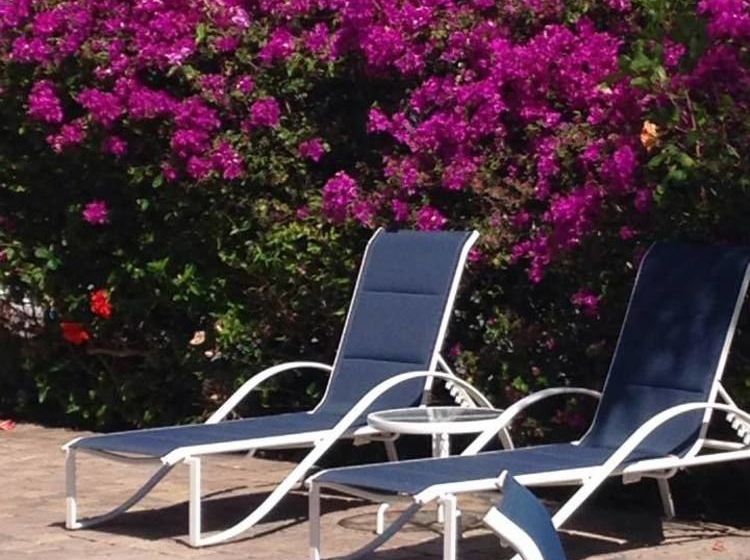 Hotel Estoril Paradise Inn  | Fort Lauderdale | Florida | United States 20