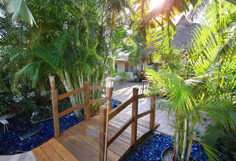 Hotel Estoril Paradise Inn  | Fort Lauderdale | Florida | United States 4