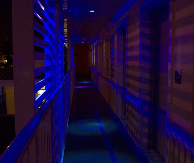 Motel Wishes Coral Gables  | Coral Gables | Florida | United States 20