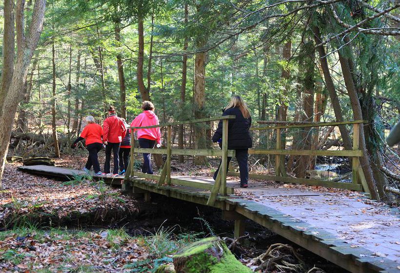 Biggest Loser Resort Niagara  | Java Center | Nueva York | Hotel negli Stati Uniti 20