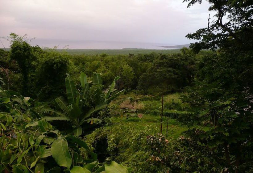 Bed & Breakfast Dragonfly Ranch 