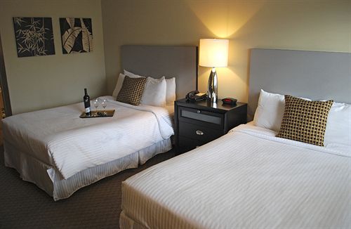 Hotel Sole Inn And Suites  | Pensacola | Florida | United States 7