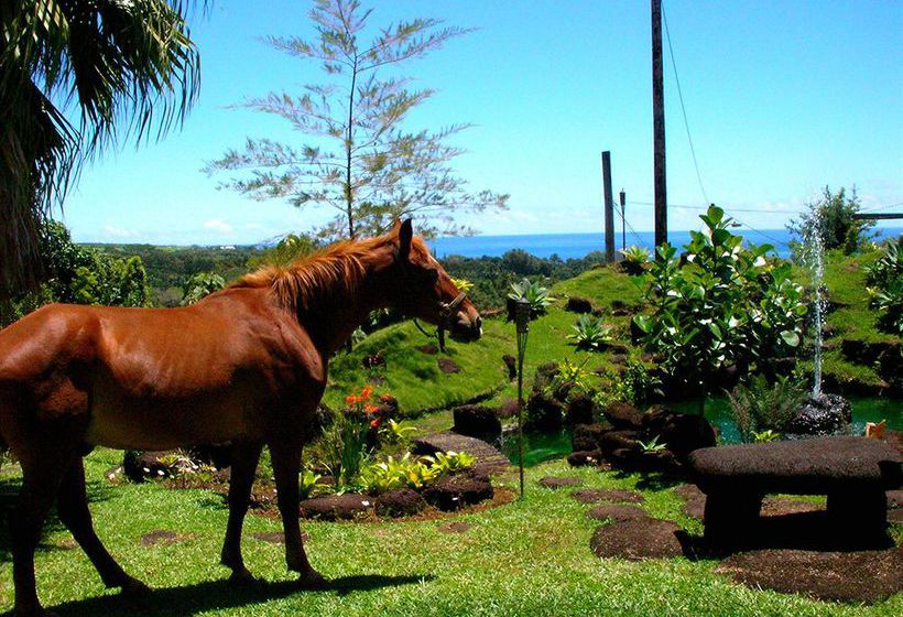 Hotel Hilltop Legacy Vacation Home Hilo