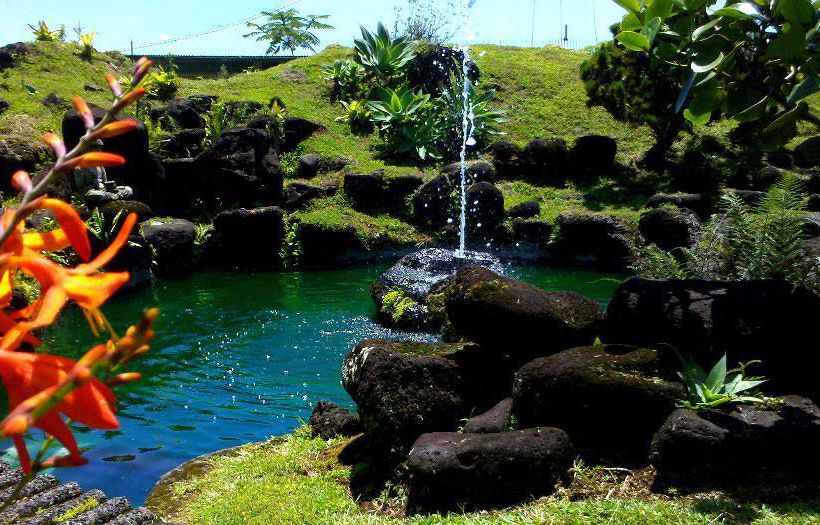 Hotel Hilltop Legacy Vacation Home  | Hilo | Hawaii | United States 1