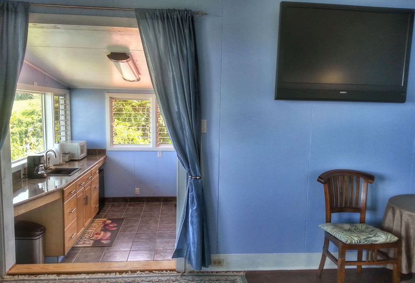 Hotel Hilltop Legacy Vacation Home  | Hilo | Hawaii | United States 4