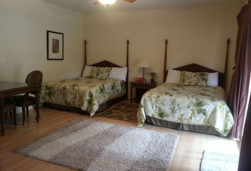 Bed and Breakfast Volcano Forest Inn