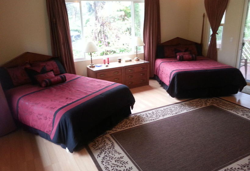 Bed and Breakfast Volcano Forest Inn  | Volcano | Hawaii | United States 1