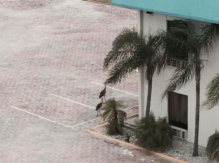 Hotel Pier Ii Resort  | Okeechobee | Florida | United States 20