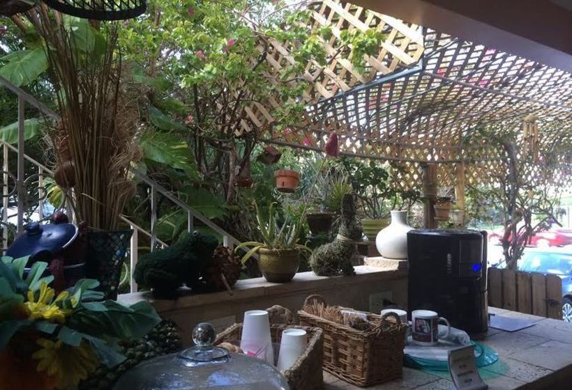 Hotel Ocean Inn  | Hollywood | Florida | United States 14