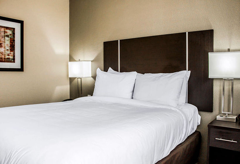 Hotel Quality Inn Brooklyn  | Brooklyn | Nueva York | United States 10