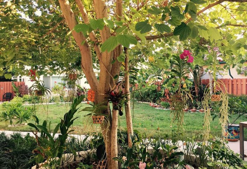 Downtown Hollywood Boutique  | Hollywood | Florida | Hôtels aux États-Unis 10