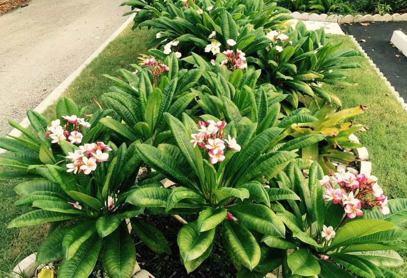 Downtown Hollywood Boutique  | Hollywood | Florida | Hôtels aux États-Unis 9