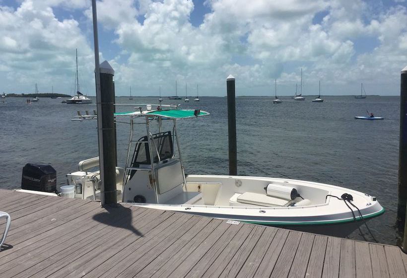 Hotel The Pelican Key Largo Cottages  | Key Largo | Florida | United States 5