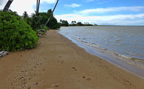 Hotel Molokai Vacation Properties-happy House  | Kaunakakai | Hawaii | United States 11