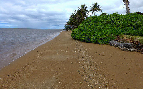 Hotel Molokai Vacation Properties-happy House  | Kaunakakai | Hawaii | United States 12