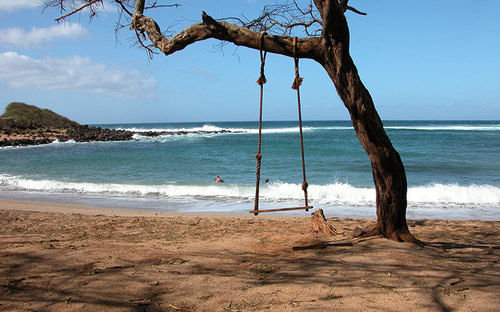 Hotel Molokai Vacation Properties - Hale Puhi  | Maunaloa | Hawaii | United States 19