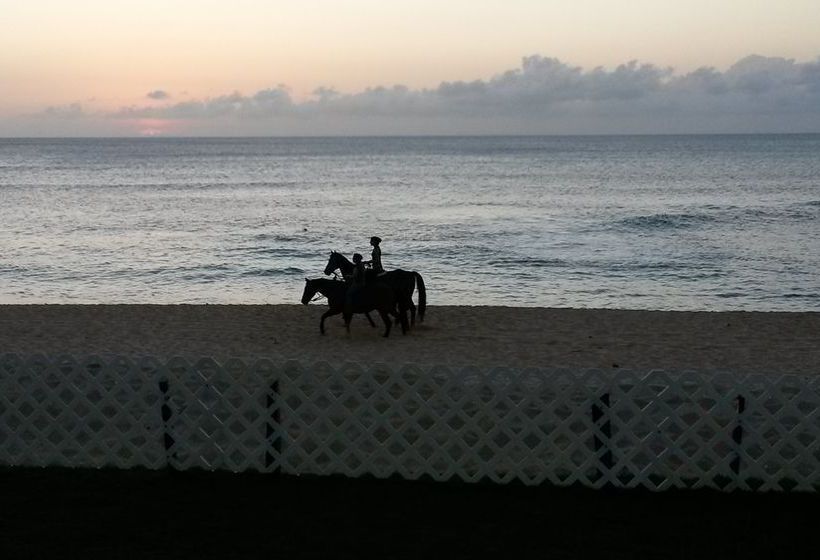 Hotel Rocky Point Beachfront/paradise  | Haleiwa | Hawaii | Estados Unidos 9