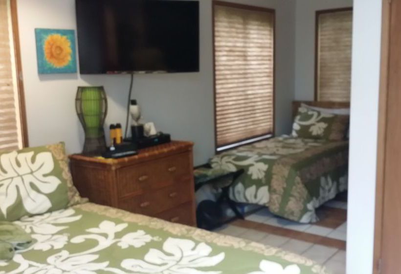 Hotel Kilauea Volcano Cottages  | Volcano | Hawaii | United States 3