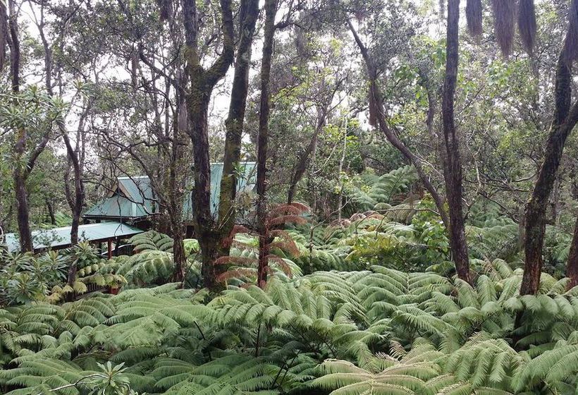 Hotel Kilauea Volcano Cottages  | Volcano | Hawaii | United States 7