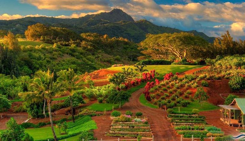 Hotel Kukui'ula Club Cottages  | Koloa | Hawaii | United States 2