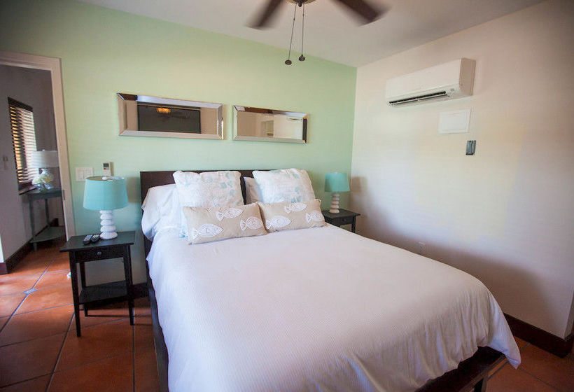 The Coral Reef  | Hollywood | Florida | United States 12