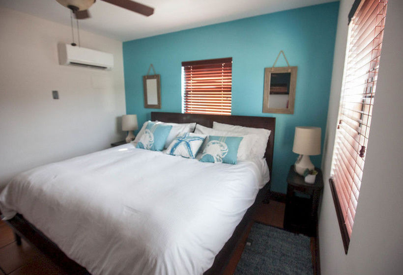 The Coral Reef  | Hollywood | Florida | United States 13