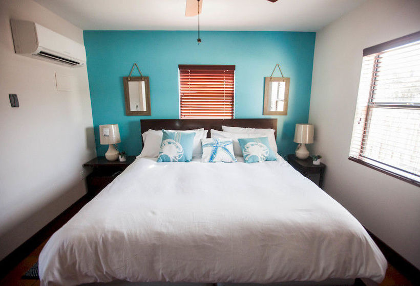 The Coral Reef  | Hollywood | Florida | United States 16