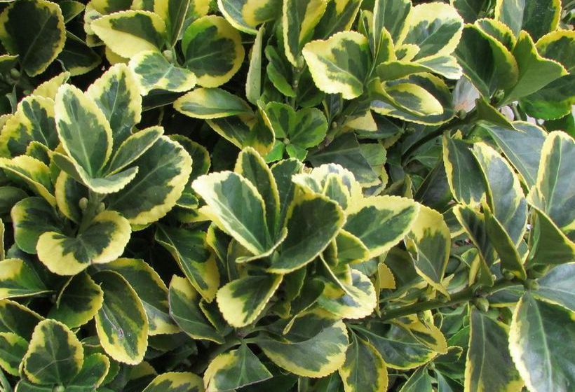 Hotel Richland  | New York | Nueva York | United States 15