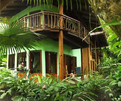 Hotel Playa Nicuesa Rainforest Lodg  | Golfo Dulce | Puntarenas | Costa Rica 15