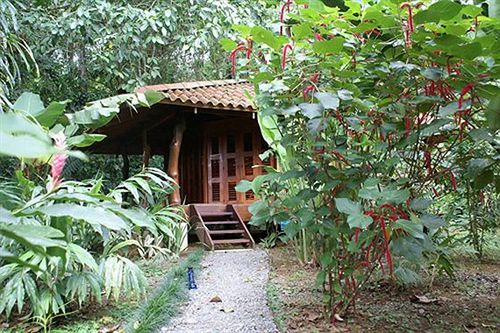 Hotel Playa Nicuesa Rainforest Lodg  | Golfo Dulce | Puntarenas | Costa Rica 19